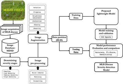 A lightweight convolutional neural network for recognition of severity stages of maydis leaf blight disease of maize